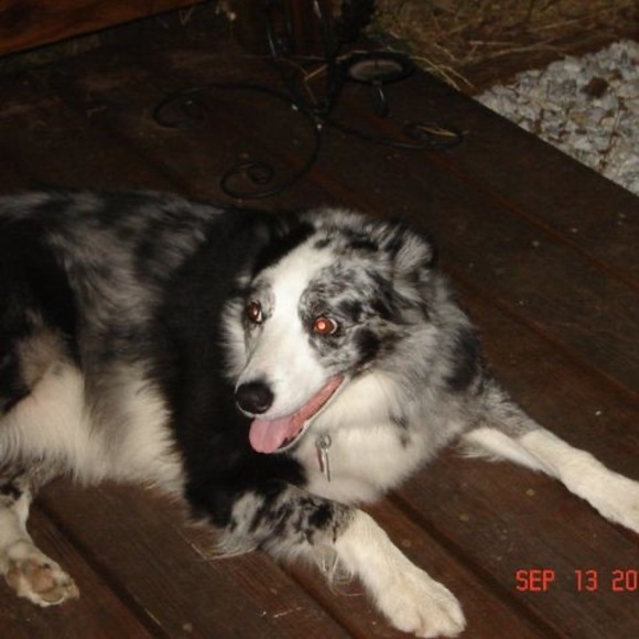 Meet your Posher, Pat - Picture 1 of 1